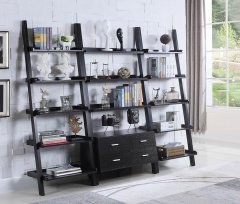 Contemporary Capp. Leaning Bookcase