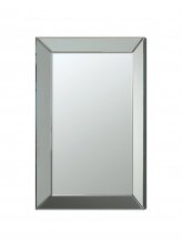 Transitional Rectangle Accent Mirror